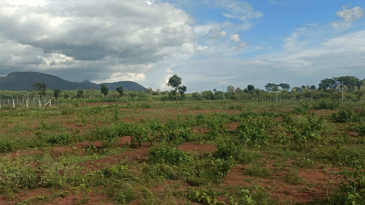  10.5 Acre General Property for Sale – Halaguru, Malavalli Taluk